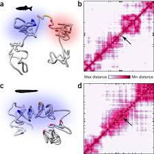 ✓ tiện lợi, dễ dử dụng mọi lúc mọi nơi. A Single Three Dimensional Chromatin Compartment In Amphioxus Indicates A Stepwise Evolution Of Vertebrate Hox Bimodal Regulation Nature Genetics