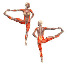 Advanced Extended Right Hand To Big Toe Pose Utthita Hasta Padangustasana Advanced Right Yoga Poses Yoga Com Yoga Muscles Yoga Anatomy Yoga Sequences