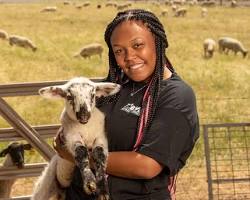 Image of Animal Science