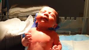The process of a butterfly starting out as a caterpillar, maturing in a cocoon and emerging as a butterfly reflects our own spiritual journal in so many ways. 8 Giving Birth Dream Interpretation Dreamchrist Dream Meaning