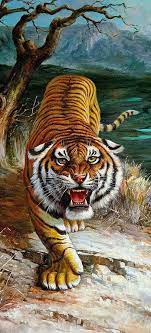 Pin De Eduardo Salas Em Macan Lukisan Arte Sobre Animais Selvagens Imagens De Animais Selvagens Fotos De Animais Selvagens