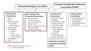 Organizational Structure