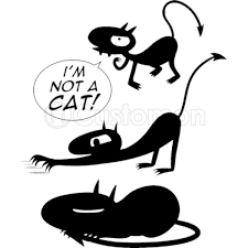 Follow for daily content disenchantment merchant rebrand.ly/disenchantment. Disenchantment Luci I Am Not A Cat Iphone 6 6s Plus Case Customon