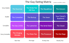 The Gay Dating Matrix Life In Charts Medium
