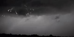 Lightning Storm Gif Lightning Storm Thunder Gifs Lightning Storm Lightning Storm Gif Gif Lightning