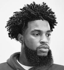 16 Best Twist Hairstyles For Men In 2020 Next Luxury In 2020 Curly Hair Styles Black Curly Hair Mens Hairstyles Short