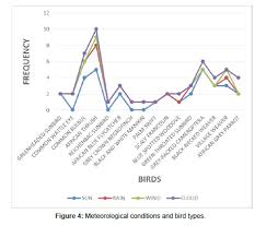 Image result for Afrostyrax kamerunensis
