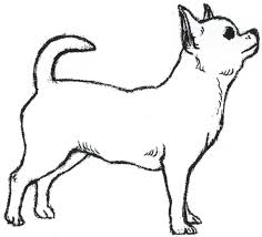See more ideas about dog coloring page, coloring pages, adult coloring pages. Pin On For Dogs