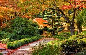 Top 9 Must See Nature Spots In Ashland Japanese Garden Ashland Scenic