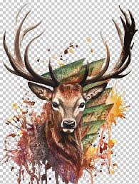 Deer Watercolor Painting Drawing Png Antler Cartoon Christmas Deer Deviantart Fauna Deer Painting Deer Drawing Watercolor Deer