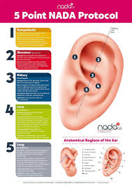 Pin By Ashley Smiley On Tcm Acupuncture Ear Reflexology Acupressure Treatment Acupuncture
