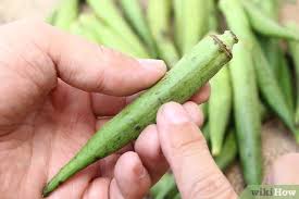 Check spelling or type a new query. 3 Ways To Preserve Fresh Okra Wikihow