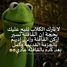 اي قافلة واي كلاب يا ضفدع funny arabic quotes funny qoutes crazy funny memes