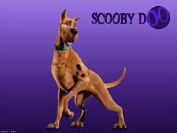 Download free hd wallpapers tagged with scooby doo from baltana.com in various sizes and resolutions. Scooby Doo Wallpaper Movie Scooby Doo Scooby Hd Wallpaper Wallpaperbetter