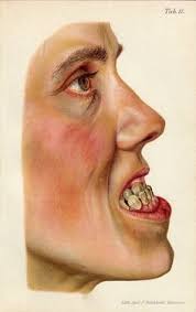 karen constance (smackmusic7)