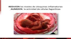Cientes) con choque séptico, falla renal (50%), acidosis e hipoglucemia. Sepsis Y Embarazo Youtube
