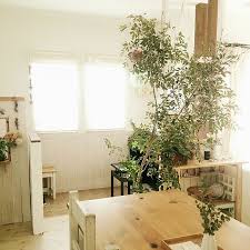 comiriさんの overview diy シマトネリコ ダイニングテーブル チェア 腰板壁 ピアノコーナー シマトネリコの木 白 茶色 インナータイル ディアウォール diy 捨てる前に についての部屋写真 ヴィンテージルーム 部屋 インテリア