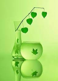 Reflections Green Nature Simple Green Green Aesthetic