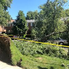More are wondering if this 2020's tornado season including tornado alley and other states will be a bad one. Tornado Confirmed In Chicago From Monday S Storm Chicago Sun Times
