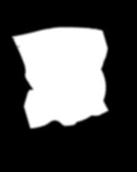 Nemegata's folkloric futurism boosts austiN's buddiNg colombiaN music sceNe