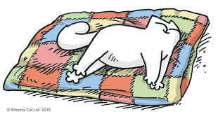 Wake Up In The Morning Feeling Like P Diddy Meaning Pin By Alexandra J Mosley On Simon S Cat Simons Cat