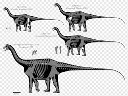 Bir dinozorun fosil kemiğinden proteinlerin başarılı bir şekilde çıkarılması üzerine yayınlanan makale , özellikle de sismosaurus. Austrosaurus Dinheirosaurus Supersaurus Barosaurus Seismosaurus Dinosaur Mammal Cat Like Mammal Carnivoran Png Pngwing
