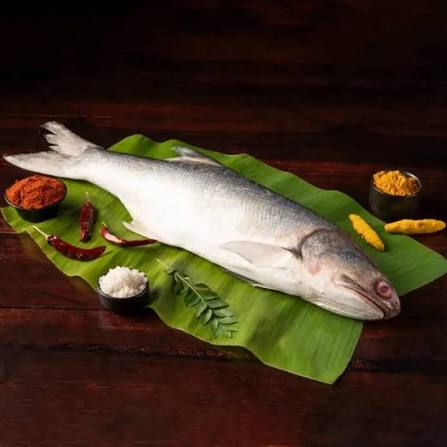 Rawas (Indian Salmon)