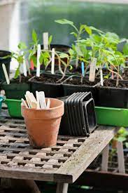 Check spelling or type a new query. 14 Vegetables And Fruits You Can Start To Grow Right Now Off The Grid News