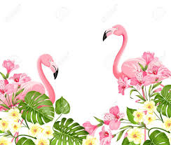 Tropical bird pink flamingo with tropical plants and flowers beach wallpaper. Flamingo Bird And Plumeria Flowers Isolated Over White Background Royalty Free Cliparts Vectors And Stock Illustration Image 124289741