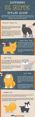 Use clippers or shears with very sharp blades to avoid snagging his hair and ripping it out of his skin. Dog Grooming Styles Quick Guide Infographic Fast Dogs