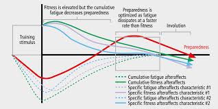 Image result for training effect schema