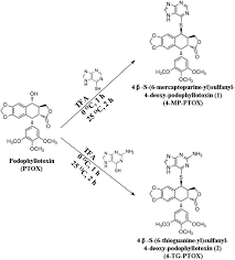 Image result for Podophyllotoxin