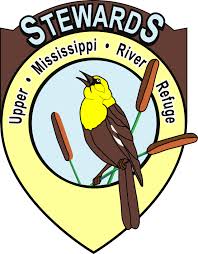 Pin On Bald Eagles 3