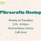 Fibrecrafts Meetup