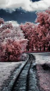 Best Wallpapers For Iphone Xr Refurbished Gadgets Meaning Past Live Wallpaper Iphone 8 Plus Goku After New Nature Wallpaper Winter Wallpaper Winter Landscape