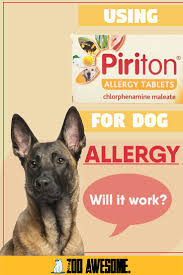 The medicines that doctors give to people for their allergies contain the same active ingredients veterinarians also use for dogs. Can I Give My Dog Piriton For Allergies Dog Care Dog Allergies Dog Advice