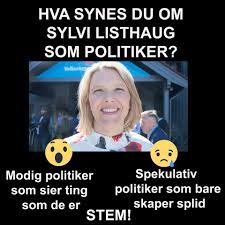 She was an alternate representative in the storting (parliament) before being elected a full representative in 2017 for the area in which she was born. Facebook