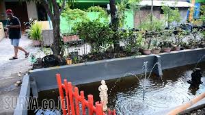 Keren Kampung Rungkut Kidul Menyulap Selokan Jadi Kolam Ikan Surya