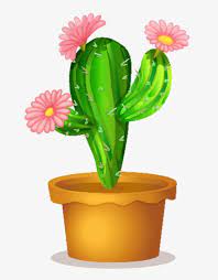 Find high quality cactus flower clip art, all png clipart images with transparent backgroud can be download for free! Graphic Black And White Library Cactaceae Succulent Cactus Flower Clipart Transparent Png 673x1000 Free Download On Nicepng