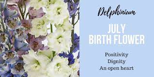 We did not find results for: Discover Your Birth Flower Interflora