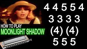 Pin By Bart Castricum On Bart Harp Shadow Backing Tracks Harmonica