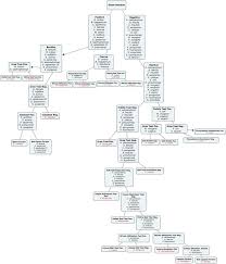 Dichotomous Key O J G O Microbiology Dichotomous Key