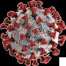 Check spelling or type a new query. Https Covid 19 Moh Gov My Garis Panduan Garis Panduan Kkm Annex 50 Post Covid 19 Management Protocol 12july2021 Pdf