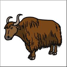 Yak coloring pages, yak colouring book, over 30 pages to color, cute wild yak, domestic yak, bison colouring pages for boys, girls,. Clip Art Yak Color 1 I Abcteach Com Abcteach