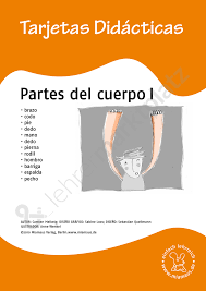 Bildkarten Spanisch Partes Del Cuerpo 1 Spanisch Lernen Spanisch Und Spanisch Vokabeln