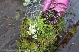 diy hanging flower basket made with chicken wire and moss one hundred dollars a month baskets planter green wall pots