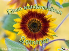Dekoratives poster, im modernen stil. Sommer Bilder 1gb Pics