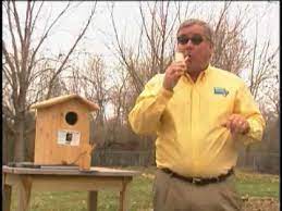 While this is simple advice, it's not easy to implement. How To Attract Owls With Birdman Mel Youtube