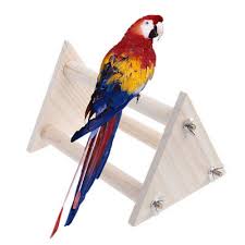 Bird perch, rope bungee bird toy. New Small 1 2 Pvc Parrot Perch Tabletop Gym Stand Pet Supplies Bird Supplies