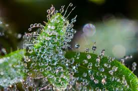 Résultats du concours Janvier 2024